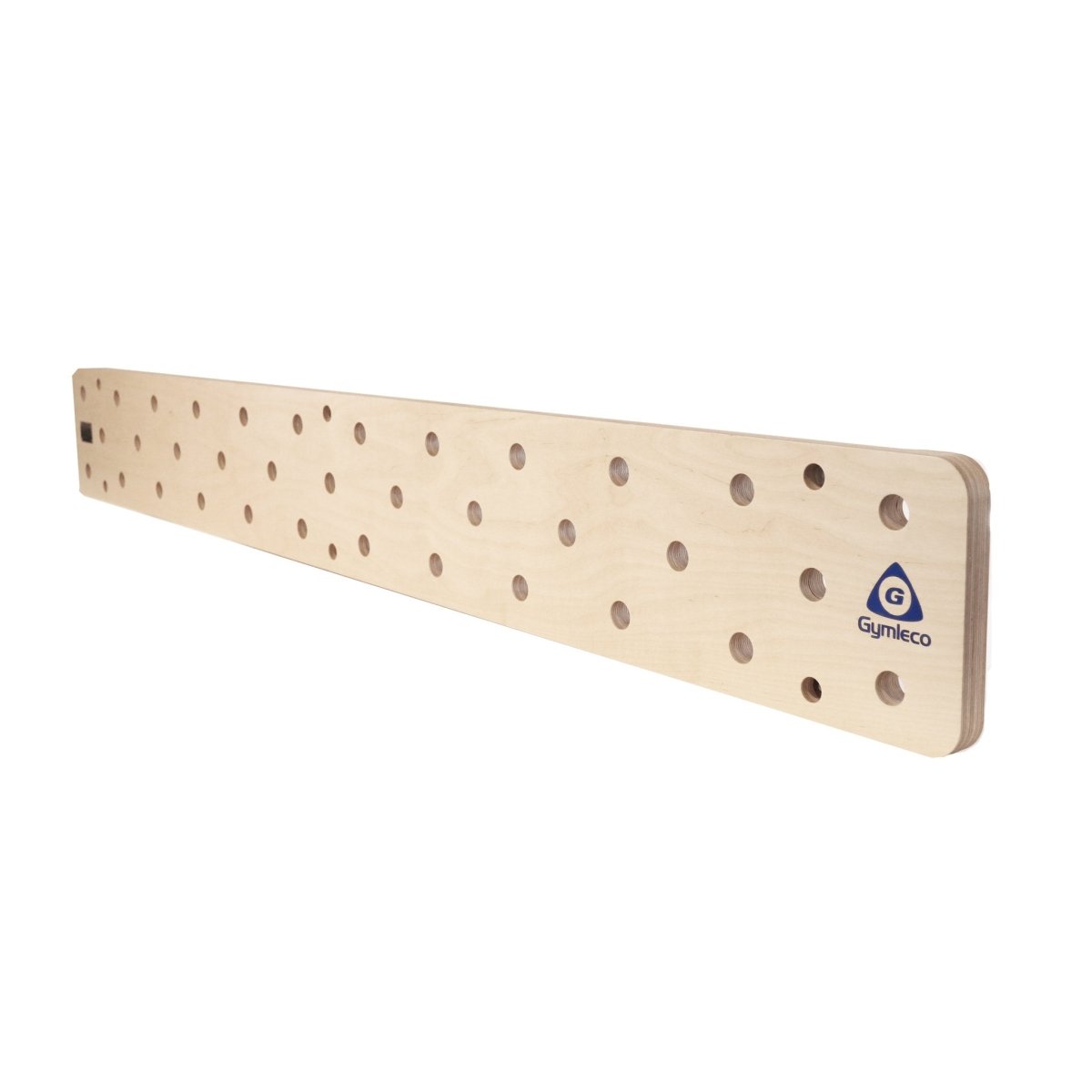 Peg Board 2420×300 mm Gymleco UK